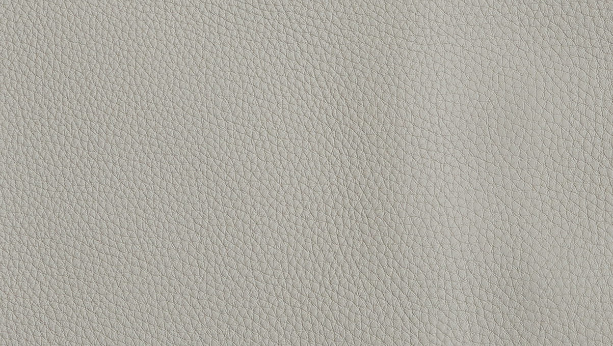 A81