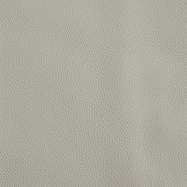 A81