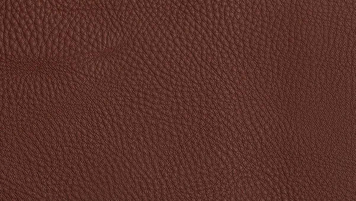 H25